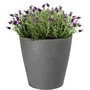 GARDEN ID Pot de fleurs Swing Cone rond - Gris - Ø 30 cm, capacité 14 L, hauteur 29 cm - Design moderne intérieur/extérieur