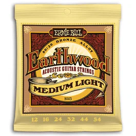 Ernie Ball Earthwood 80/20 Bronze Medium Light 12-54