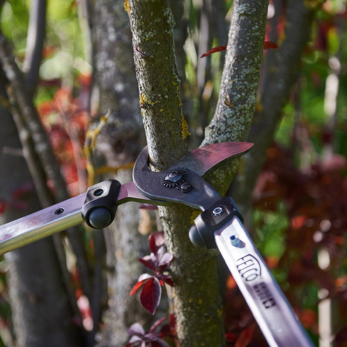 Felco 211-50 Sécateur de deux mains type bypass pour branches vertes Felco 211-50 Sécateur de deux mains type bypass pour branches vertes
