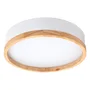 Plafonnier LED Rond 27W 2700Lm BiColor CCT 'Maria' HO-CCT-LED05