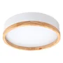 Plafonnier LED Rond 27W 2700Lm BiColor CCT 'Maria' HO-CCT-LED05