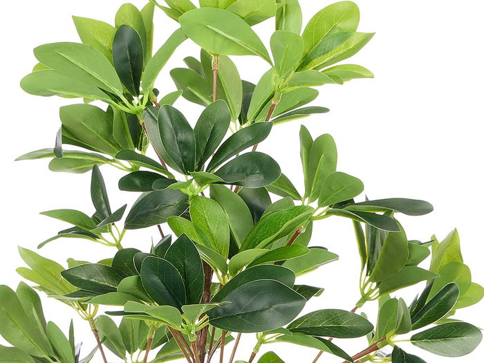 Ibergarden Maceta Plante Feuilles Allongées 90 cm Vert Noir 40x95x40 cm Plastique (Set de 4)