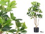 Ibergarden Maceta Plante Feuilles Allongées 90 cm Vert Noir 40x95x40 cm Plastique (Set de 4)