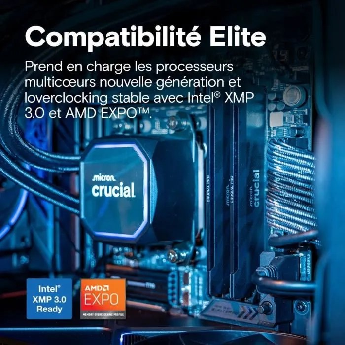 Crucial Mémoire Gamer DDR5 Pro OC CP16G64C32U5B 16 Go DDR5-6400 UDIMM CL32 avec dissipateur thermique - Noir