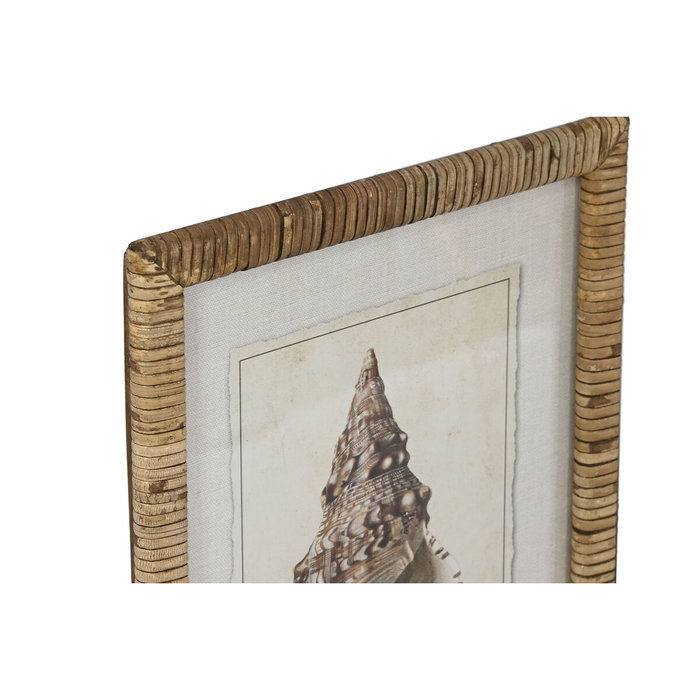 Home ESPRIT Cadre Verre Sapin 30 x 2,5 x 40 cm (9 Unités)