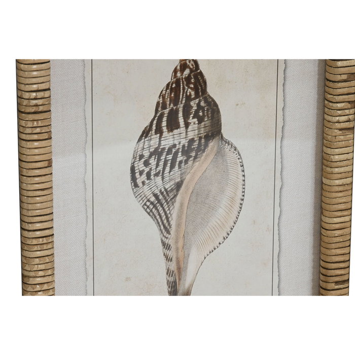 Home ESPRIT Cadre Verre Sapin 30 x 2,5 x 40 cm (9 Unités)
