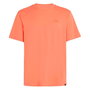 T-shirt à manches courtes homme O'Neill Small Logo Orange XL