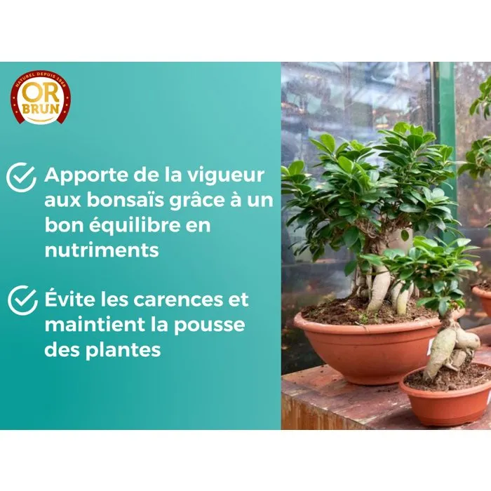 Or Brun Engrais Liquide pour Bonsaï Intérieur et Extérieur, 250 ml - OBRECLBONSAI250 - Formule Équilibrée pour Croissance et Feuillage Compact