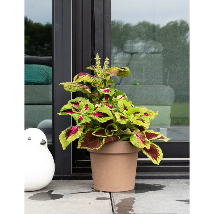 GARDEN ID Pot de fleurs avec réserve Glamour rond 50 cm 47 L 43 cm taupe GARDEN ID Pot de fleurs avec réserve Glamour rond 50 cm 47 L 43 cm taupe