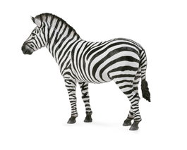 COLLECTA Zèbre commun - L