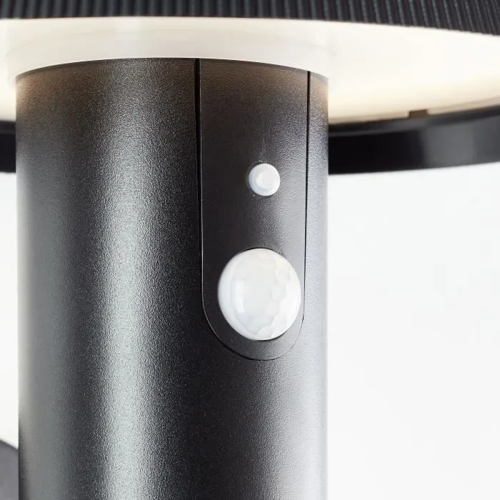 Brilliant Applique d'extérieur ALVERO LED Solaire avec Détecteur de Mouvement - Métal/Plastique - 4W - Noir - BRI4004353437823