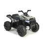 Feber Quad Boxer 12V