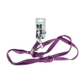 KERBL VET Laisse Guide Miami Lila 20mm 200cm