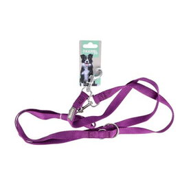 KERBL VET Laisse Guide Miami Lila 20mm 200cm