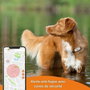 Weenect Traceur GPS pour Chien XS White Edition 2023