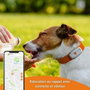 Weenect Traceur GPS pour Chien XS White Edition 2023