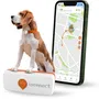 Weenect XS Traceur GPS pour Chien - Edition Blanche 2023 - Suivi en temps réel sans limite de distance, plus petit modèle du marché