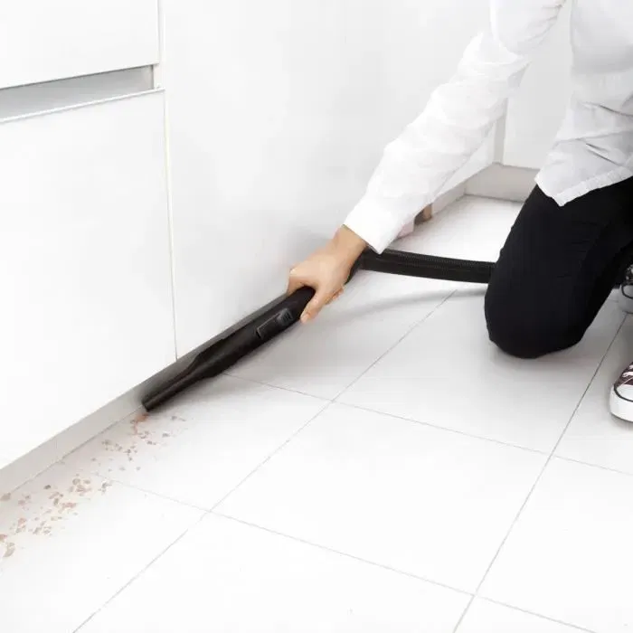 Karcher Aspirateur traîneau VC 2 700 W avec filtre HEPA 13, flexible d'aspiration 1,5 m, 76 dB, idéal pour sols durs et tapis