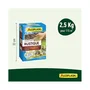 Algoflash - Semences à Gazon Rustique - Pelouse Durable - Sachet de 2,5 kg