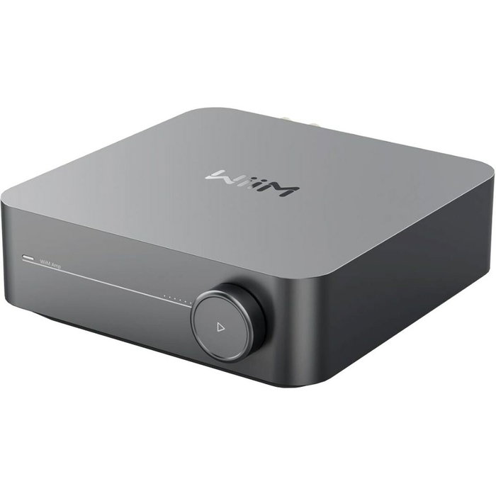 Amplificateur Wiim 806158