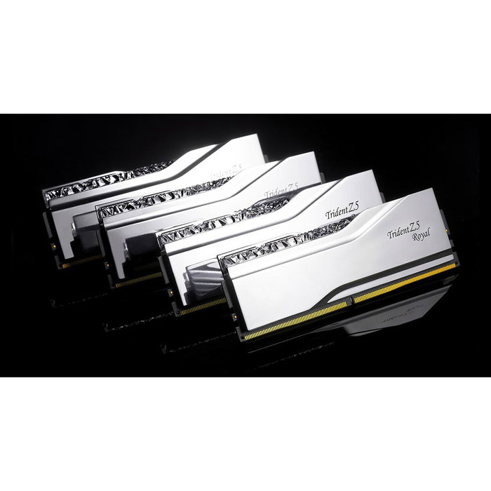 GSKILL F5-8400J4052G24GX2-TR5S 48 GB DDR5