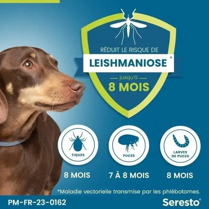 Seresto Collier Anti-Puces et Anti-Tiques pour Chien jusqu'à 8 kg - Protection 7-8 Mois, 2 Unités - Réduit le Risque de Leishmaniose