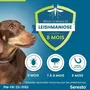 Seresto Collier Anti-Puces et Anti-Tiques pour Chien jusqu'à 8 kg - Protection 7-8 Mois, 2 Unités - Réduit le Risque de Leishmaniose