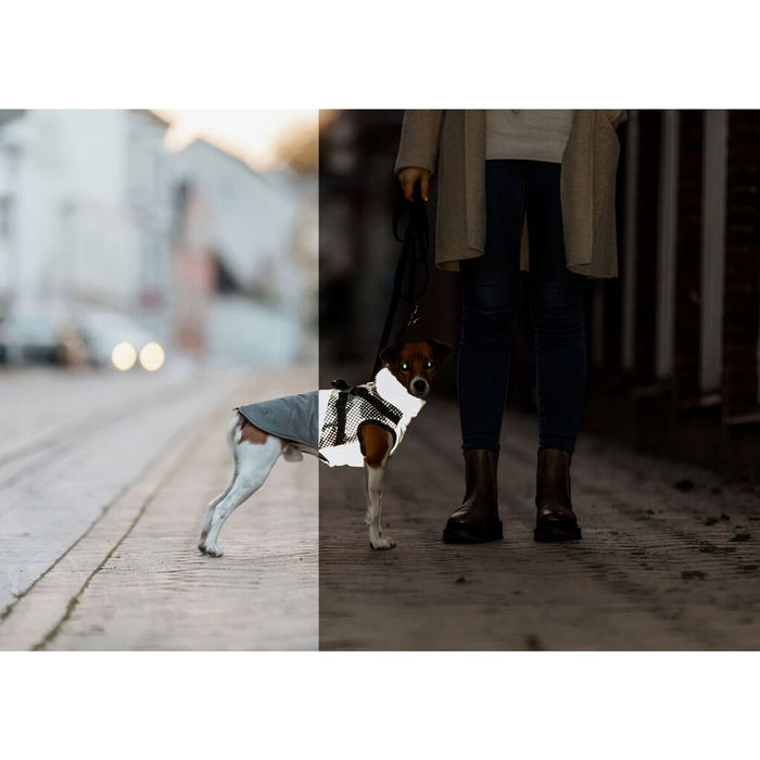 Manteau pour Chien Trixie Gris S