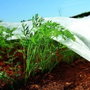 Biotop Toile de protection pour cultures 4 x 5 m 30g/m²