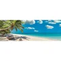 Clementoni Compact 1000 pièces Puzzle Panorama - Swinging by the Ocean - 98 x 33 cm avec Poster