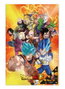 Sd Toys Poster 3D 58x38 cm Universal Survival Heroes Dragon Ball Super