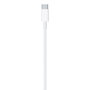 Apple Câble USB-C vers Lightning (1 m) Blanc MUQ93ZM/A