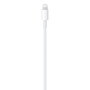 Apple Câble USB-C vers Lightning (1 m) Blanc MUQ93ZM/A