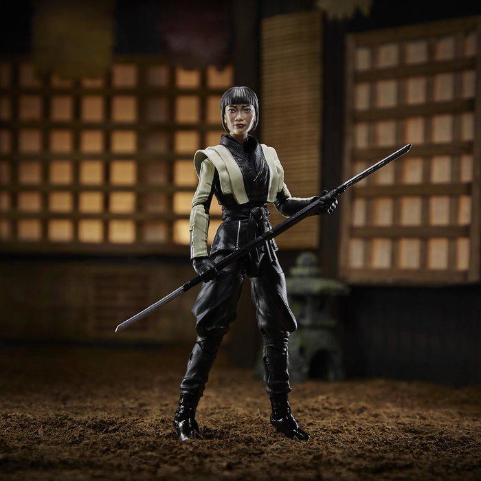 Hasbro Figurine G.I. Joe Akiko F0112 15 cm - Version multilingue (anglais, français, allemand, portugais, espagnol) - À partir de 4 ans