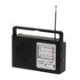 Adler Radio portable AM/FM AD 1909, antenne télescopique, 15.5 x 21 x 6 cm