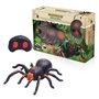 TACHAN - Jouet Tarantula Rc Tachan Radio-Contrôle Infrarouge avec yeux lumineux - Réaliste et rapide - Alimentation par piles AAA non fournies - Âge recommandé: 8 ans et plus