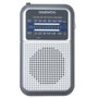 Daewoo Radio transistor DW1008SL Argenté AM/FM Rétro