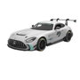 Mondo Motors Mercedes AMG GT2 RC 1:14