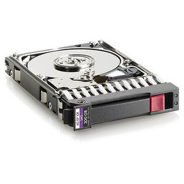 HP Hewlett Packard Enterprise 300 Go SAS 2,5 pouces