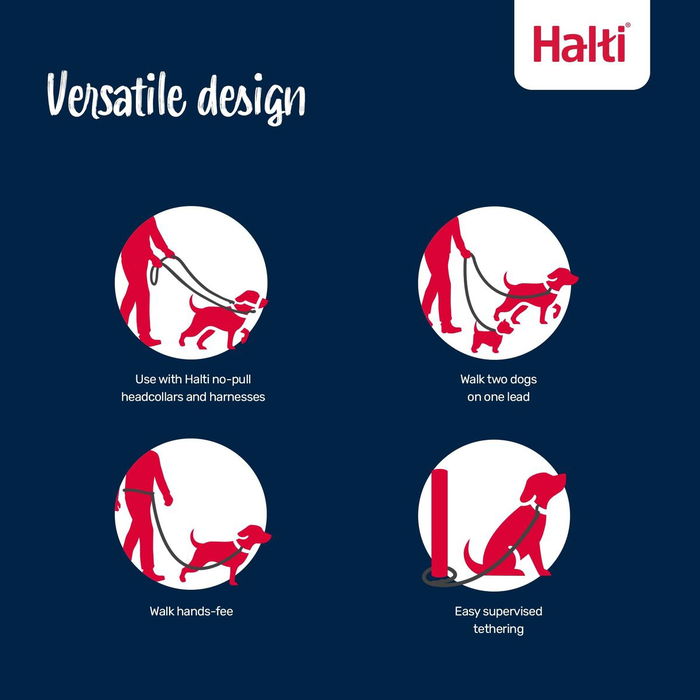 Laisse de suivi Company of Animals Blue Laisse de suivi Company of Animals Blue