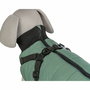 Manteau pour chien Trixie Pontis Vert XS