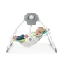 Bright Starts Transat Bébé Balancelle Électrique Pliable Toucan avec Arche de Jouets Amovible, Réglages de Balancement et Minuterie, WhisperQuiet, 0-9 Mois