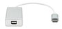 ProXtend Câble Adaptateur USB-C vers Mini DisplayPort Argent 20 cm
