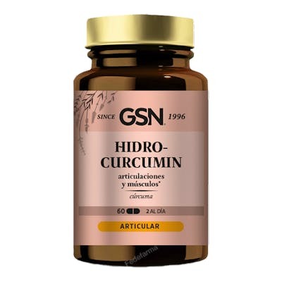 G.S.N. HIDRO CURCUMIN 60 comprimés 500mg