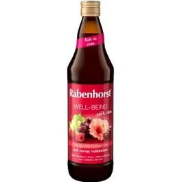 RABENHORST Zumo Well-Being avec Fer 750ml
