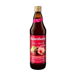 Rabenhorst Jus Well-Being au fer 750 ml