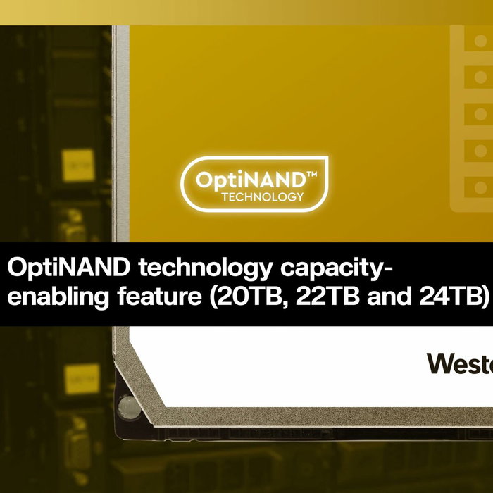 Disque dur Western Digital WD241KRYZ 3,5" 24 TB