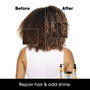 L'Oréal Professionnel Paris Masque Absolut Repair 250 ml