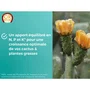 Or Brun - OBRECLCACTUS250 - Engrais liquide pour cactus et plantes grasses 250 ml - Formule nutritive adaptée - Fabriqué en France - Favorise croissance et floraison