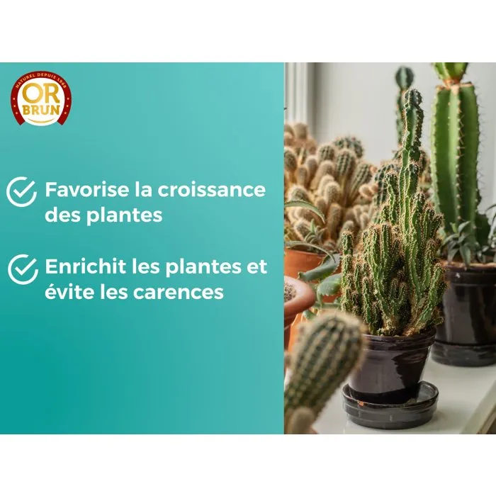 Or Brun - OBRECLCACTUS250 - Engrais liquide pour cactus et plantes grasses 250 ml - Formule nutritive adaptée - Fabriqué en France - Favorise croissance et floraison
